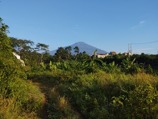 the road to the mountains