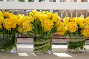 Row of Yellow Roses in Glass Vases