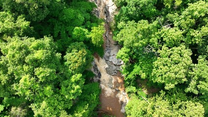 From above, a drone reveals thriving forest and clear waterway, emphasizing sustainable practices...