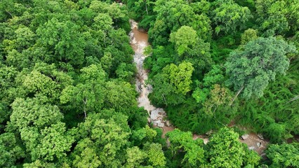 Aerial shot captures dense green forest and pristine rocky river, showcasing sustainable land...