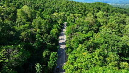 Aerial drone view of a scenic road running through vibrant forest terrain, showcasing how transportation networks traverse and connect natural environments. Thailand.
