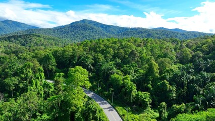 Drone aerial view shows a winding road cutting through dense green forest, highlighting the integration of transportation infrastructure within natural landscapes. Thailand.
