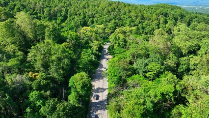 Drone aerial view shows a narrow road winding through dense green forest, illustrating the integration of transportation infrastructure within natural landscapes. Thailand.
