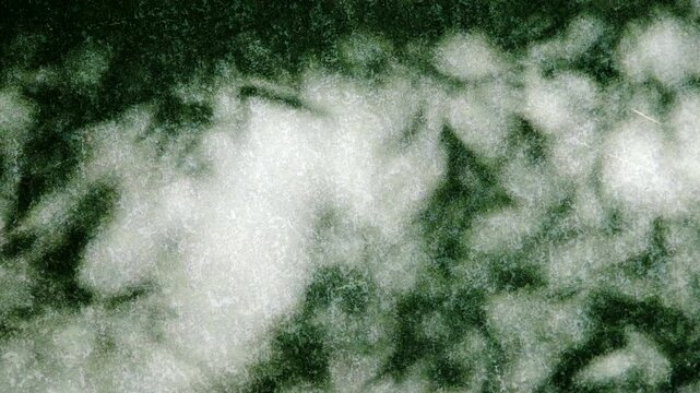 石畳に映る竹林・竹・笹の葉の影　風に揺れる木の葉の木漏れ日と陰影　キラキラ輝く太陽の光　夏・初夏・日本の背景