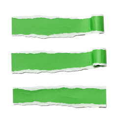 green ripped paper torn edge strip isolated on white background	