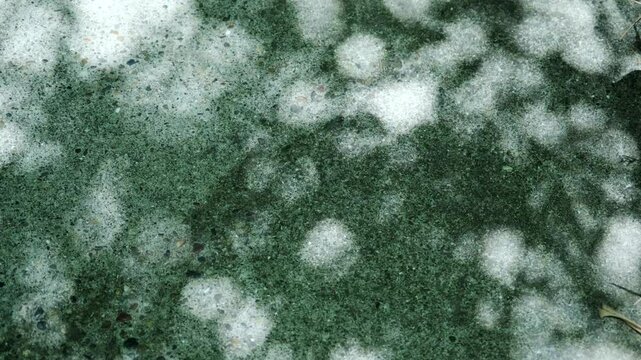 石畳に映る竹林・竹・笹の葉の影　風に揺れる木の葉の木漏れ日と陰影　キラキラ輝く太陽の光　夏・初夏・日本の背景