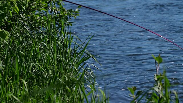 close up of fishing pole, shore fishing, man holding a fish next to the water, selective focus video