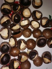 Macadamia nut shell on a plate.