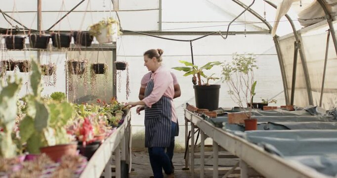 Diverse gardeners in aprons tending to plants in greenhouse, discussing care techniques
