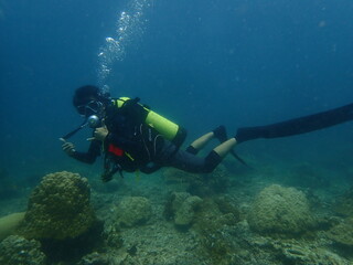 Coral found at coral reef area at beautiful Island in Malaysia