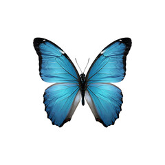 Blue butterfly with symmetrical wings, repeating previous style