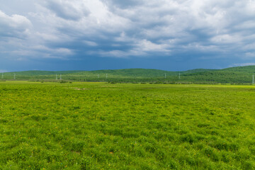 The scenery of Horonor Grassland in Hulunbuir City, Inner Mongolia Autonomous Region, China