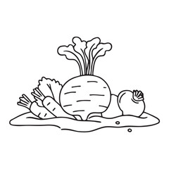 A turnip lying on dirt with nearby root vegetables