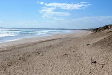 footprints on the beach on stunning philip island australia