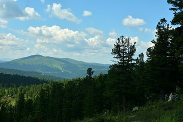 High mountainside with dense coniferous forest in the shadow of the rising sun overlooking a picturesque valley on a sunny summer morning.