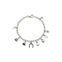 Fototapeta premium Silver charm bracelet with various tiny trinkets