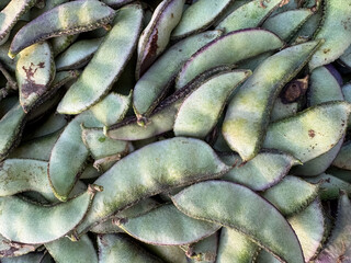 green organic beans kept in a heap, 