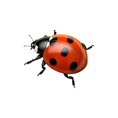 Red ladybug with black spots and legs standing on a white surface in a cartoon design
