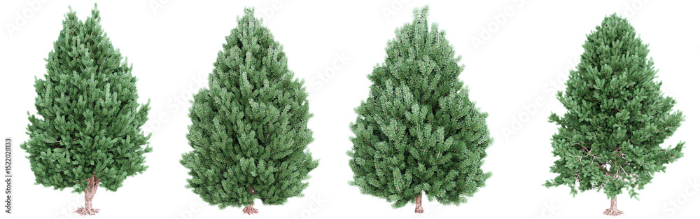 Poster pine tree collection isolated on transparent background.3d rendering.
