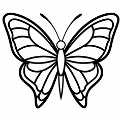 butterfly vector illustration