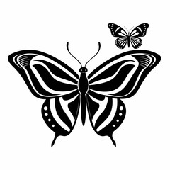 black and white butterfly
