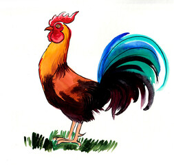 Rooster bird. Hand drawn watercolor illustration