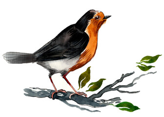 Bird on a tree branch. Hand drawn watercolor illustration