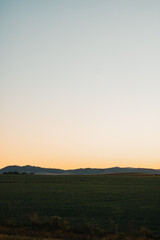 Vertical image of rural Australian landscape at twilight