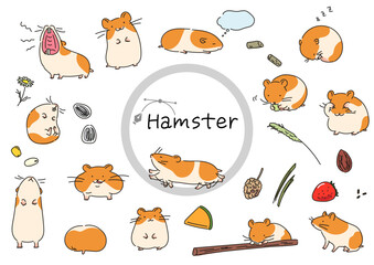 ゴールデンハムスターのイラストセットベクター線イラスト
