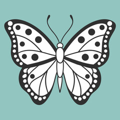 butterfly on a white background