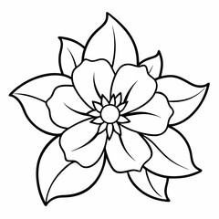 vector illustration of a flower
