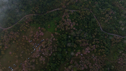Aerial Drone Shot of mist in Valley with sunset and view of coastal town and trees and buildings early morning