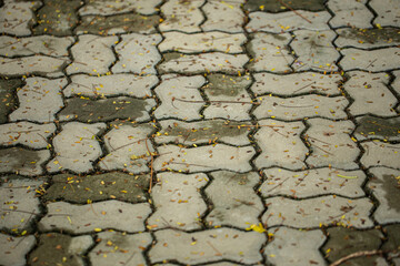 Close up shot of paving stone concrete block, in vintage grey and brown color , also with tiny fallen leaves on their surface