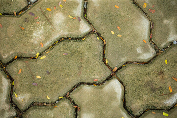 Close up shot of wet paving stone concrete block, in vintage grey and brown color , also with tiny fallen leaves on their surface