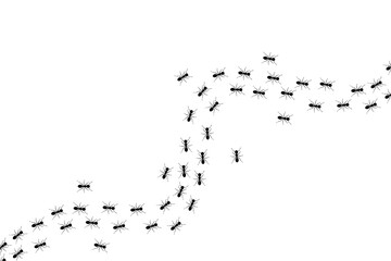 A path of ants running up vector isolated on white background.