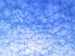 Low angle image of white clouds resembling cotton cover the blue sky.