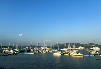 Sailing Yachts and Motorboats Moored in Tranquil Bay at Yacht Haven Marina, Phuket, Thailand