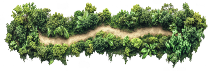 A winding dirt path lined with dense green foliage and leafy plants. Png, Transparent background.