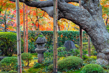 Hosen-in temple with colorful autumn gardens in Ohara, northern Kyoto