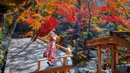 Japanese Woman in Traditional Kimono Dress at Hosen-in temple with colorful autumn gardens in Ohara, Kyoto, Japan