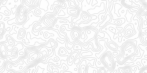 Abstract minimal The patter discovery vector topo map. creative discovery White wave grid stripe line map topography. vector geographic contour mounted map background.	