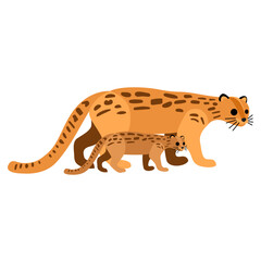 Oncilla mother and cub wild cat, flat design vector illustration.