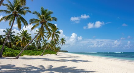 Pristine white sand beach with swaying palm trees under a vibrant blue sky.  Tranquil tropical paradise