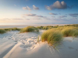 Papier peint photo Le salon Serene sunset beach dunescape peaceful coastal scene  © Kia
