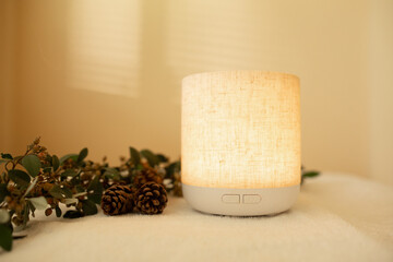 Essential oil diffuser in minimalist space with pine cones and sprigs of leaves