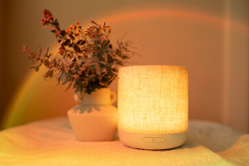 Essential oil diffuser in minimalist space with vase of fresh foliage and light causing rainbow effect