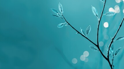 Delicate tree branches with small leaves against an aquamarine background