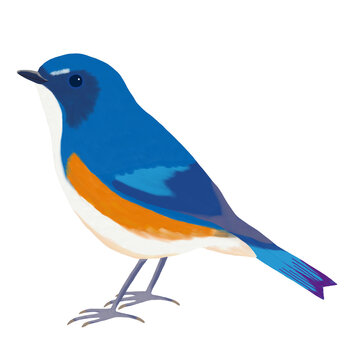 青い鳥 Images – Browse 9,462 Stock Photos, Vectors, and Video