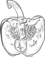 Bell pepper cut in half interior sketch vector