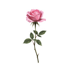 Obraz premium Digital illustration of a single pink rose on a white background. Minimal style, sharp details, vibrant colors, clean and elegant floral design.